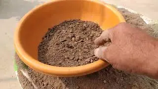 छत बगीचे में बड़े टब में तकनीक विधि से दूसरी बार पालक उगाना#gardening vedio viral 