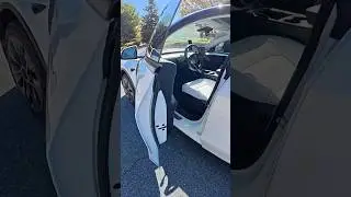 California Highway POV &mdash; Real Sounds, Beautiful Scenery | POV Drive USA | #shorts #povdriveusa