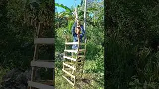 STRONG TREE GUARD!#strong #treeguard #asmr #satisfying #plant #shorts