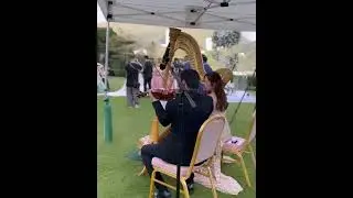 Can&rsquo;t Help Falling in Love - Harp & Violin Duet