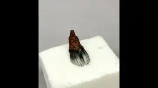tuto peinture: comment peindre des sabots