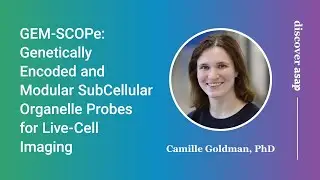 Genetically Encoded and Modular SubCellular Organelle Probes