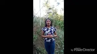 Plant Breeding ( Cucumber )
