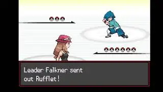 400- BST Bug Types vs Radical Red: Falkner's Flying- Oh. That was easy.