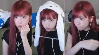20241029 짱구는 못말려! 탄광마을의 흰둥이 / 롤체