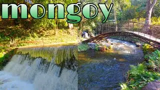 mongoy/Asunción mita/Jutiapa/Guatemala