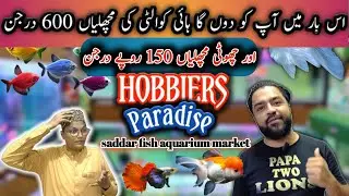 saddar fish aquarium || HOBBIERS Paradise saddar fish aquarium shop Karachi PAKISTAN letst update 🐟🐠