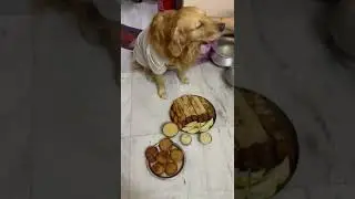 Gogo পিঠে খাবে বলে কখন থেকে অপেক্ষা করছে এবার ওর মা থালা সাজিয়ে খেতে দিয়েছে #highlight #funny