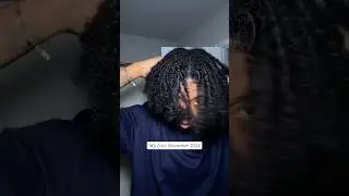 Loc Journey 🍃. My locs November 2023 vs November 2024. #locs #locgrowth #locjourney  #dreadlocks
