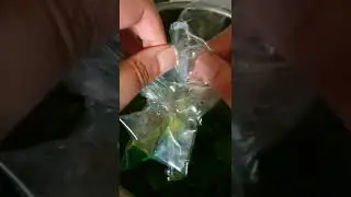 Crinkling sound of plastic bag opening #asmrsounds #shorts #asmrshorts