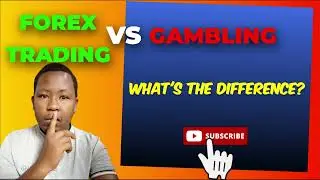 Is Forex Trading Just Like Gambling? Myths vs. Reality