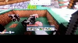 minecraft:lets play episode 1b