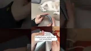 The Best Solution for Cat Scratches on Your Couch! #cats #catlovers #sofa #couch #furniture