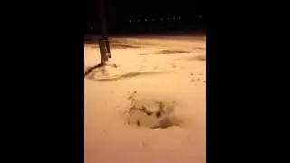 Guy jumping into deep snow