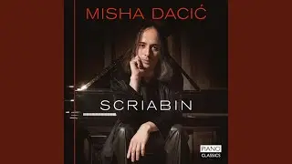 Fantasy in B Minor, Op. 28