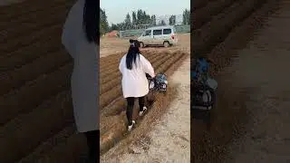 Mini Tiller Machine in Action | Powerful Farming Tool for Easy Soil Preparation part 1022