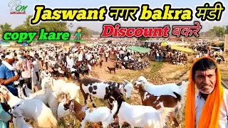 Jaswant नगर bakra मंडी discount बकरे 26000 हजार 28000 हजार Qurbani | goat farming zkd April 18 2025