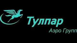 Тулпар Набережные Челны - Москва CRJ2 VATSIM