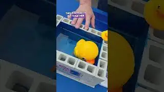 Liquid Rubber Waterproof Coating! #waterproof #construction #cooltools