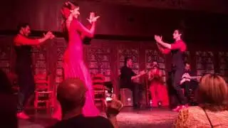 Flamenco Dancers- Mallorca, Spain 2017