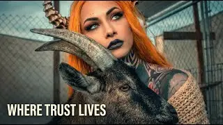 Календарь &laquo;Животные&raquo; на 2026 год | Quiet Connections