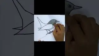 Easy way of drawing a magpie..  #shorts #shortyoutube #easyart #magpie #magpieart #goviral