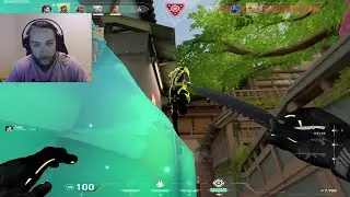 The King Of Backshots