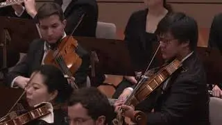 C.P.E. Bach: Symphony in G-major / Koopman · Karajan-Academy of the Berliner Philharmoniker