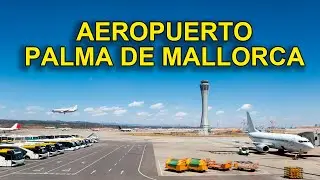 🇪🇸  Aeropuerto de Mallorca ESPAÑA al centro de Palma 🧳🚍 | Tips para llegar fácil y barato