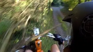 Mofa Crash with Tree (Brutal)