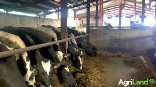 Dermot Sherry's farm in Co. Monaghan