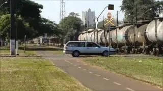 TREM MALUCOS E FAN&Aacute;TICOS POR TRENS E FERROVIAS 2 By FARINA