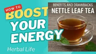 Boost Iron, Detox, & Fight Inflammation with Nettle Tea!