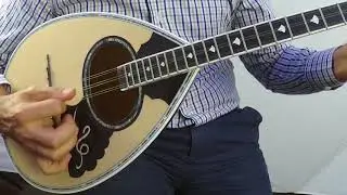 Mythos MV2-6 6 String Traditional Bouzouki