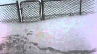POST CHRISTMAS SNOW STORM---DECEMBER 26, 2010