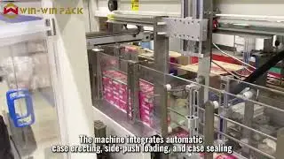 WIN-WIN PACK 3-in-1 Case Packer for Biscuit Box Packing | Case Erecting, Case Packing, Case Sealing