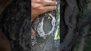 20170819 150937