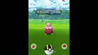 Pok&eacute;mon go shiny ✨drowzee✨ catch (drowzee spotlight hour) #shorts