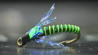 Try THIS SPRING Nymph!