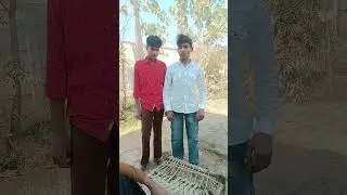 #viral #trendingshorts #popular #woodworking#woodworkingart0:0597/100 are bete mein to kutta maut k