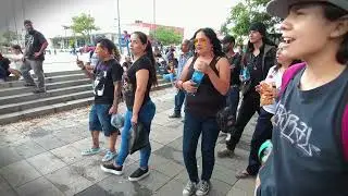 PACO TEX Y LOS SOMBREROS con una rola mas en el Tianguis Cultural (toque magico)