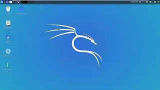 xampp install in kali linux(error and solution command not found)