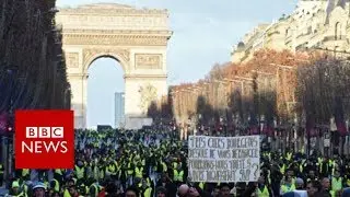 France protests: Demonstrators flee police tear gas - BBC News