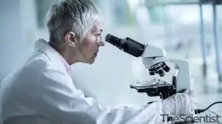 Microbes Meet Cancer