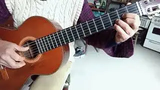 Tutorial,Pal' que se va, chamarrita.