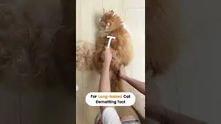 Easy dematting & deshedding tool from#aumuca #petsupply #amazongadgets #usefultips #cat
