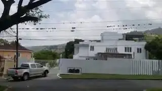 Cherry Gardens | St Andrew | Jamaica