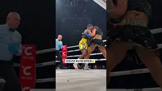 Hamsane hand speed punching #boxingtraining #boxingworkout #boxingcoach #youtubeshorts #shortvideo