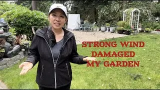 Don't Let A Storm Ruin Your Yard! Quick And Easy Tips For Cleanup.