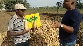 Agrocel 